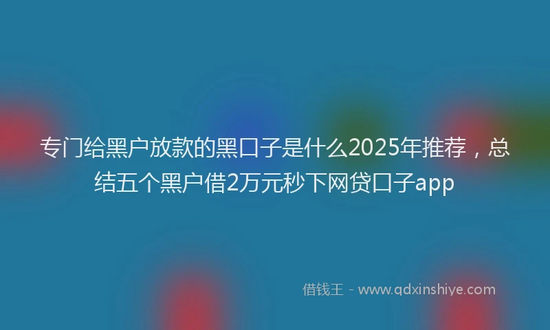 专门给黑户放款的黑口子是什么2025年推荐，总结五个黑户借2万元秒下网贷口子app