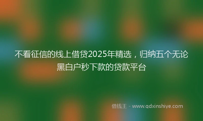 不看征信的线上借贷2025年精选，归纳五个无论黑白户秒下款的贷款平台
