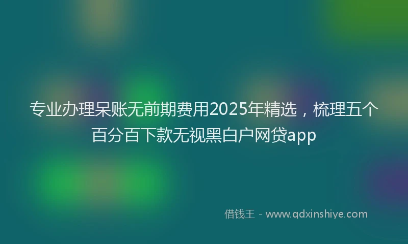 专业办理呆账无前期费用2025年精选，梳理五个百分百下款无视黑白户网贷app
