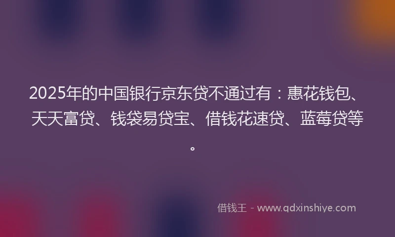 2025年的中国银行京东贷不通过有：惠花钱包、天天富贷、钱袋易贷宝、借钱花速贷、蓝莓贷等。