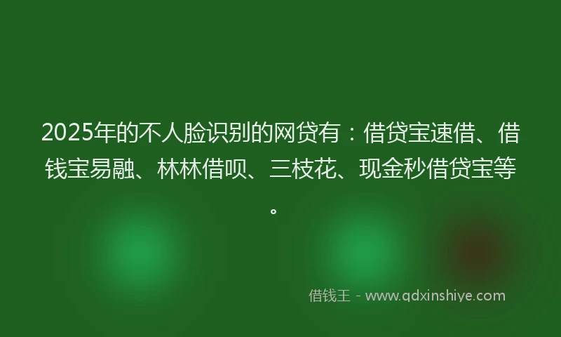 2025年的不人脸识别的网贷有：借贷宝速借、借钱宝易融、林林借呗、三枝花、现金秒借贷宝等。