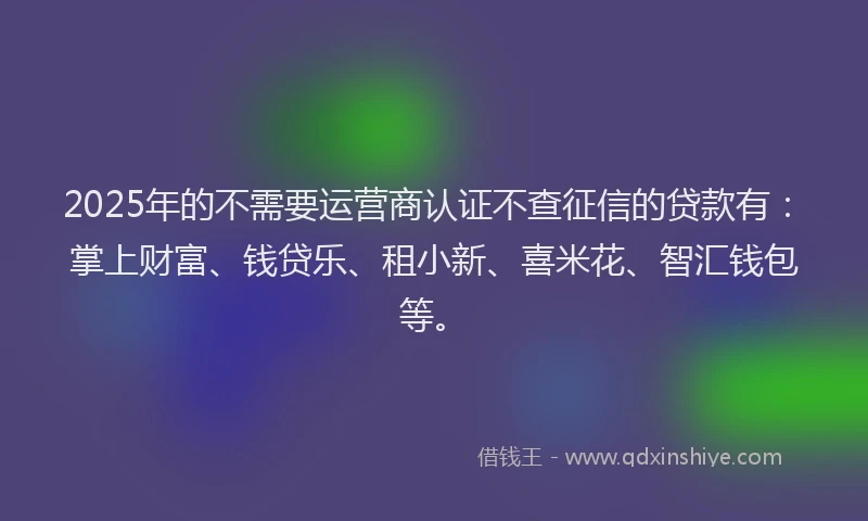 2025年的不需要运营商认证不查征信的贷款有：掌上财富、钱贷乐、租小新、喜米花、智汇钱包等。