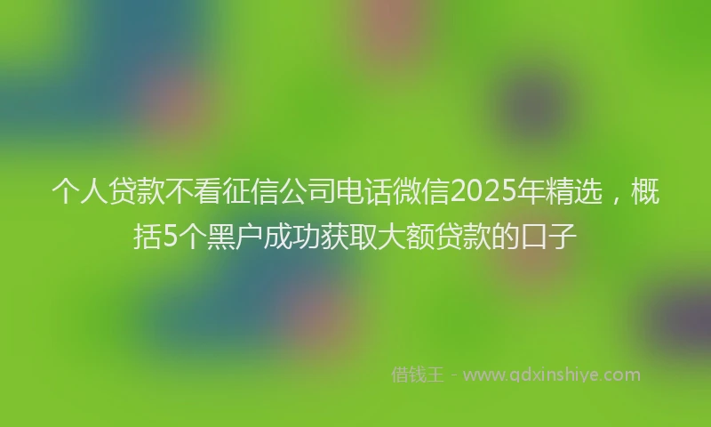 个人贷款不看征信公司电话微信2025年精选，概括5个黑户成功获取大额贷款的口子