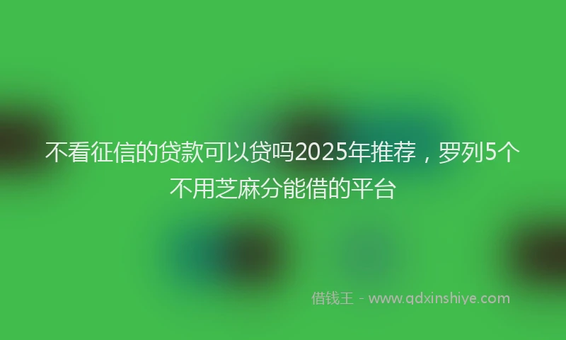 不看征信的贷款可以贷吗2025年推荐，罗列5个不用芝麻分能借的平台
