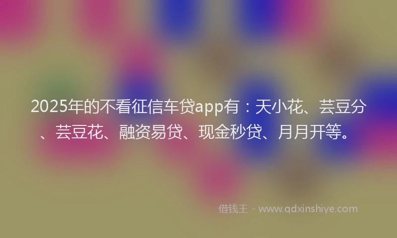 2025年的不看征信车贷app有：天小花、芸豆分、芸豆花、融资易贷、现金秒贷、月月开等。