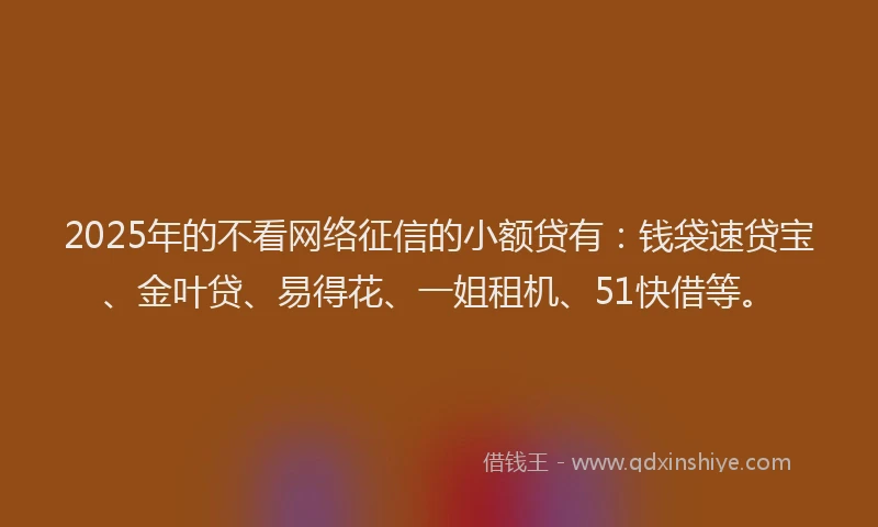 2025年的不看网络征信的小额贷有：钱袋速贷宝、金叶贷、易得花、一姐租机、51快借等。