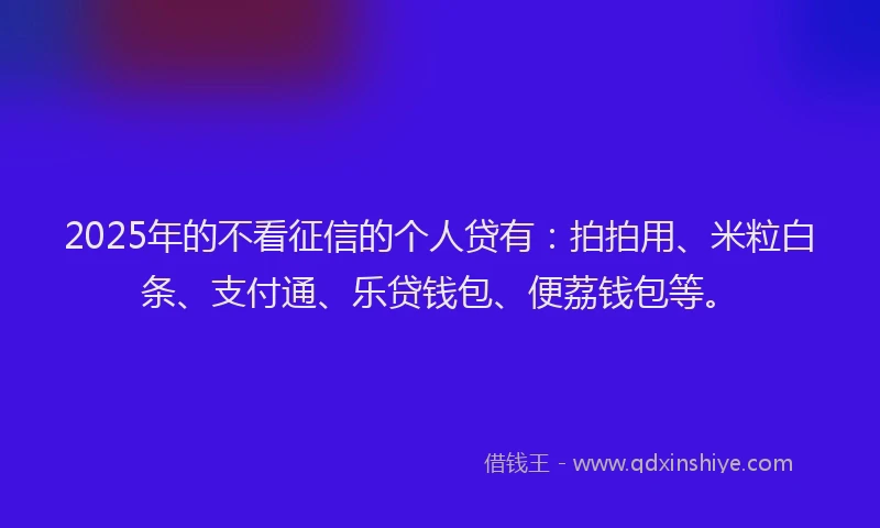 2025年的不看征信的个人贷有：拍拍用、米粒白条、支付通、乐贷钱包、便荔钱包等。