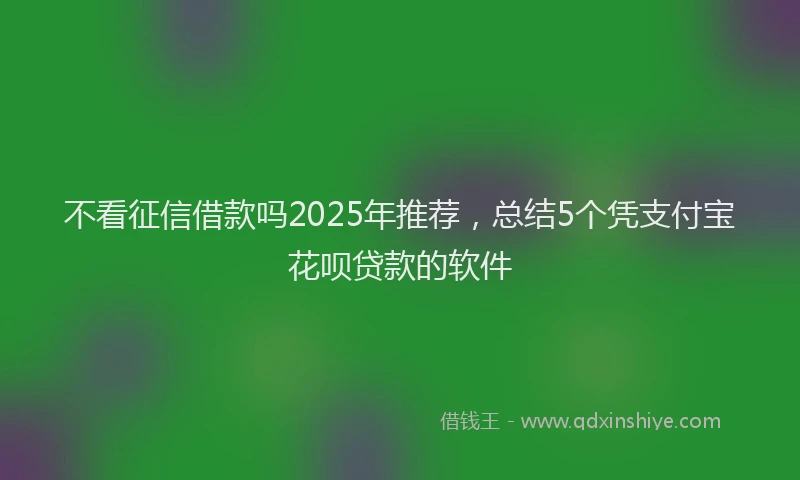 不看征信借款吗2025年推荐，总结5个凭支付宝花呗贷款的软件