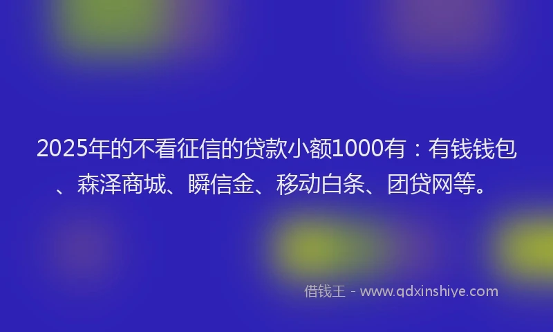 2025年的不看征信的贷款小额1000有：有钱钱包、森泽商城、瞬信金、移动白条、团贷网等。
