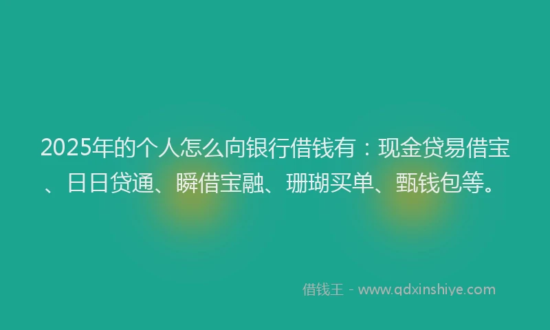 2025年的个人怎么向银行借钱有：现金贷易借宝、日日贷通、瞬借宝融、珊瑚买单、甄钱包等。