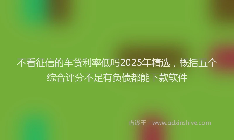 不看征信的车贷利率低吗2025年精选，概括五个综合评分不足有负债都能下款软件