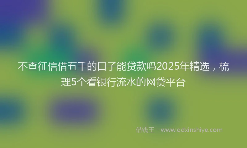 不查征信借五千的口子能贷款吗2025年精选，梳理5个看银行流水的网贷平台