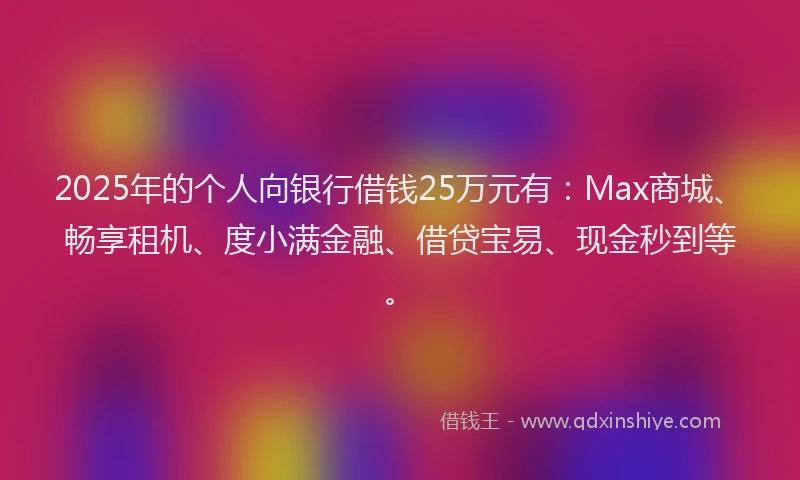 2025年的个人向银行借钱25万元有：Max商城、畅享租机、度小满金融、借贷宝易、现金秒到等。