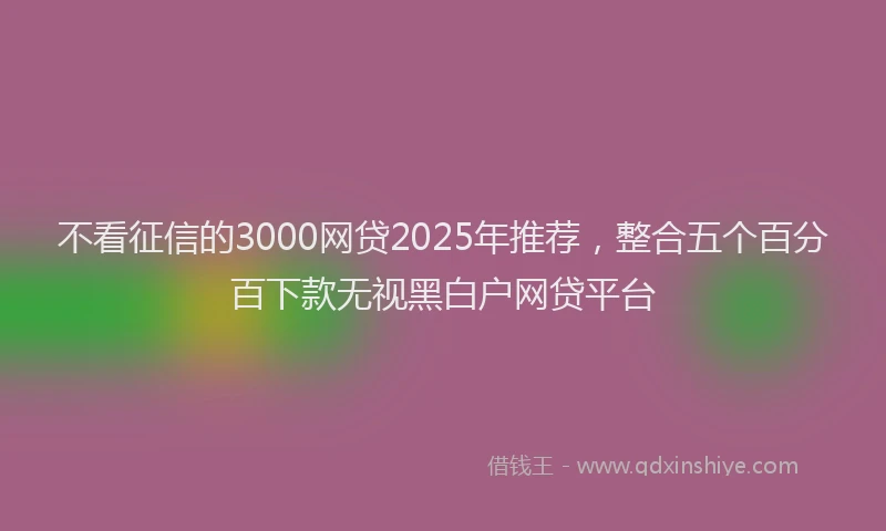 不看征信的3000网贷2025年推荐，整合五个百分百下款无视黑白户网贷平台