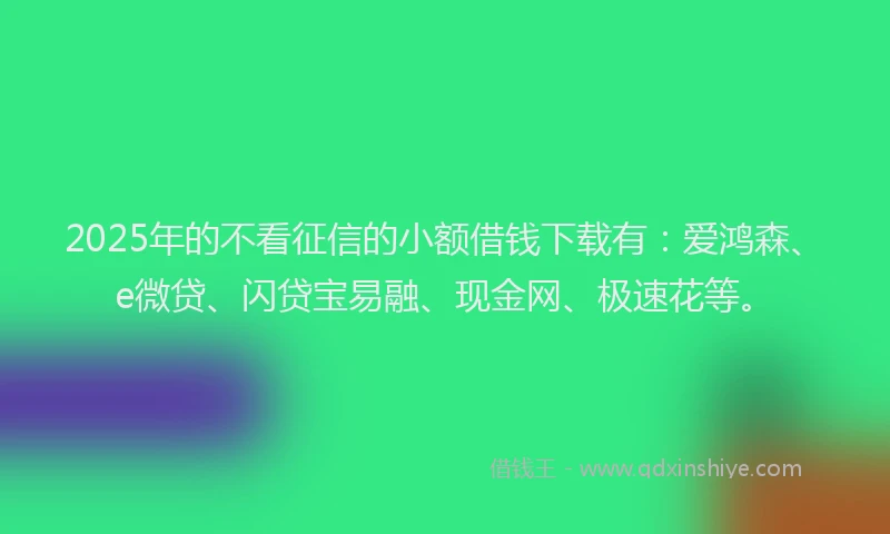 2025年的不看征信的小额借钱下载有：爱鸿森、e微贷、闪贷宝易融、现金网、极速花等。