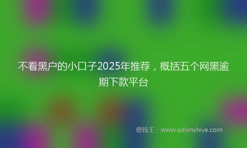 不看黑户的小口子2025年推荐，概括五个网黑逾期下款平台
