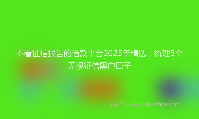 不看征信报告的借款平台2025年精选，梳理5个无视征信黑户口子