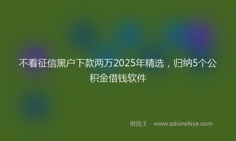 不看征信黑户下款两万2025年精选，归纳5个公积金借钱软件