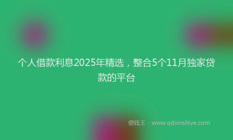 个人借款利息2025年精选，整合5个11月独家贷款的平台