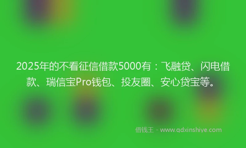 2025年的不看征信借款5000有：飞融贷、闪电借款、瑞信宝Pro钱包、投友圈、安心贷宝等。