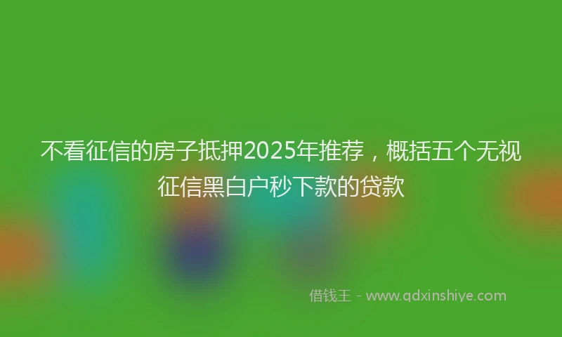 不看征信的房子抵押2025年推荐，概括五个无视征信黑白户秒下款的贷款