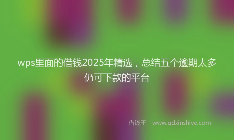 wps里面的借钱2025年精选，总结五个逾期太多仍可下款的平台