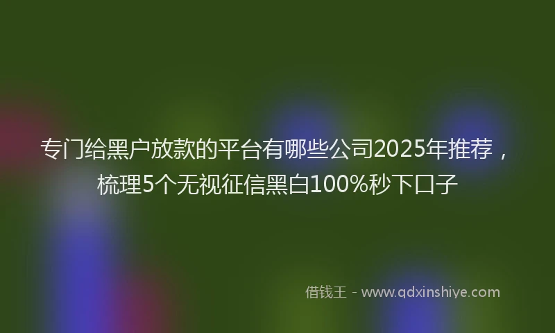 专门给黑户放款的平台有哪些公司2025年推荐，梳理5个无视征信黑白100%秒下口子