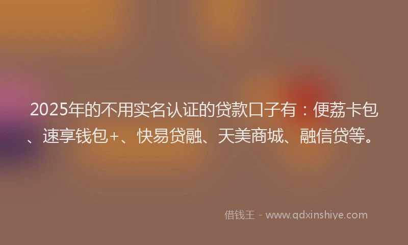 2025年的不用实名认证的贷款口子有：便荔卡包、速享钱包+、快易贷融、天美商城、融信贷等。