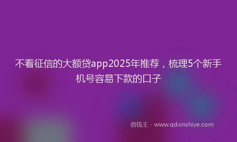 不看征信的大额贷app2025年推荐，梳理5个新手机号容易下款的口子