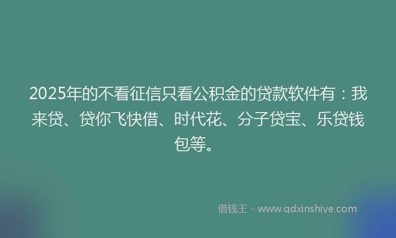 2025年的不看征信只看公积金的贷款软件有：我来贷、贷你飞快借、时代花、分子贷宝、乐贷钱包等。