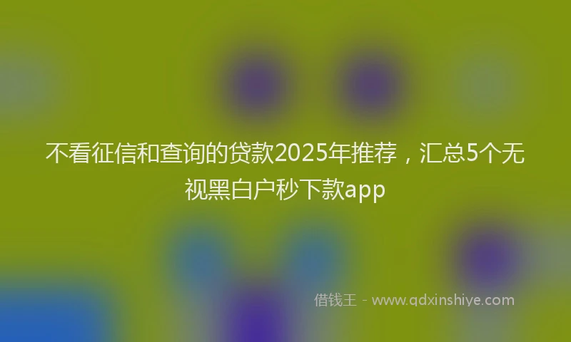 不看征信和查询的贷款2025年推荐，汇总5个无视黑白户秒下款app