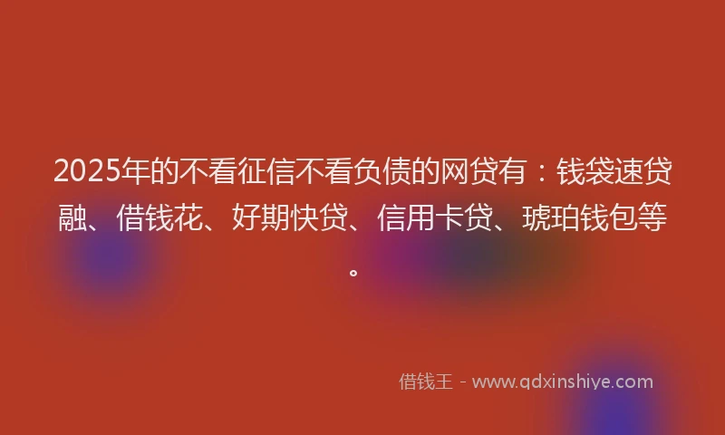 2025年的不看征信不看负债的网贷有：钱袋速贷融、借钱花、好期快贷、信用卡贷、琥珀钱包等。