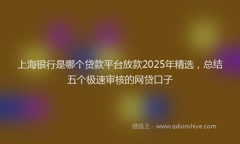 上海银行是哪个贷款平台放款2025年精选，总结五个极速审核的网贷口子