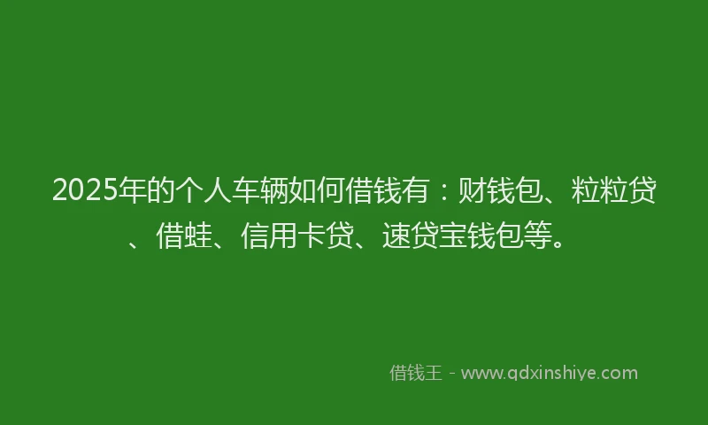 2025年的个人车辆如何借钱有：财钱包、粒粒贷、借蛙、信用卡贷、速贷宝钱包等。