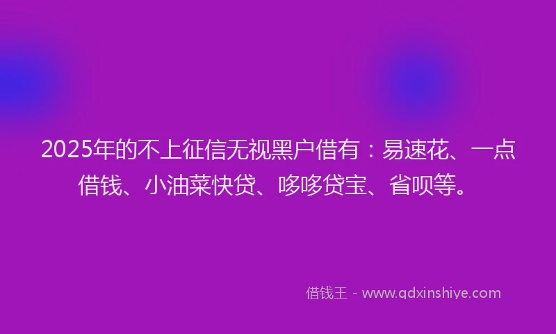 2025年的不上征信无视黑户借有：易速花、一点借钱、小油菜快贷、哆哆贷宝、省呗等。