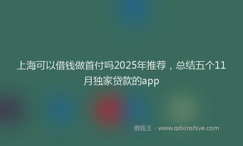 上海可以借钱做首付吗2025年推荐，总结五个11月独家贷款的app