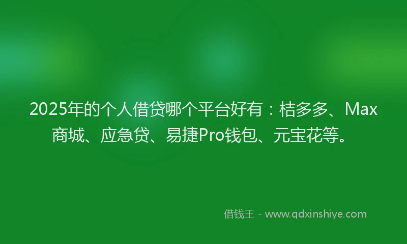 2025年的个人借贷哪个平台好有：桔多多、Max商城、应急贷、易捷Pro钱包、元宝花等。