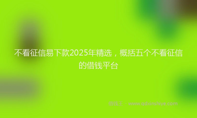 不看征信易下款2025年精选，概括五个不看征信的借钱平台