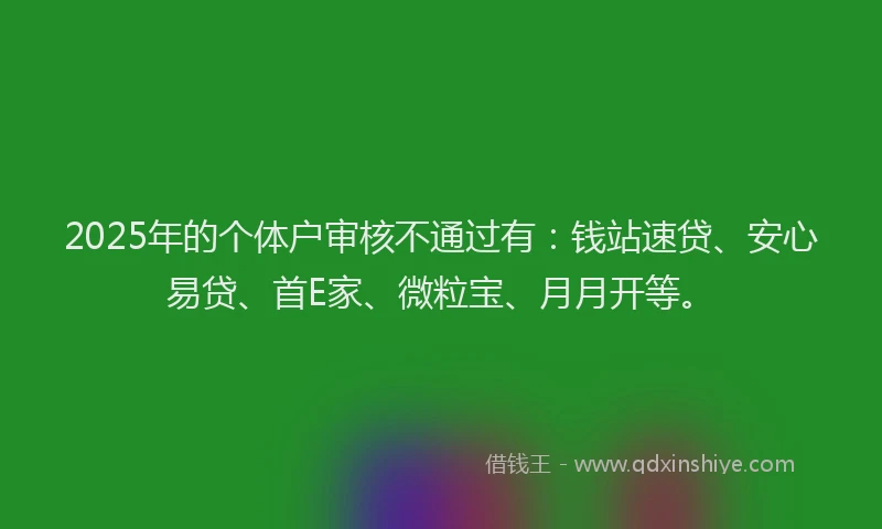 2025年的个体户审核不通过有：钱站速贷、安心易贷、首E家、微粒宝、月月开等。