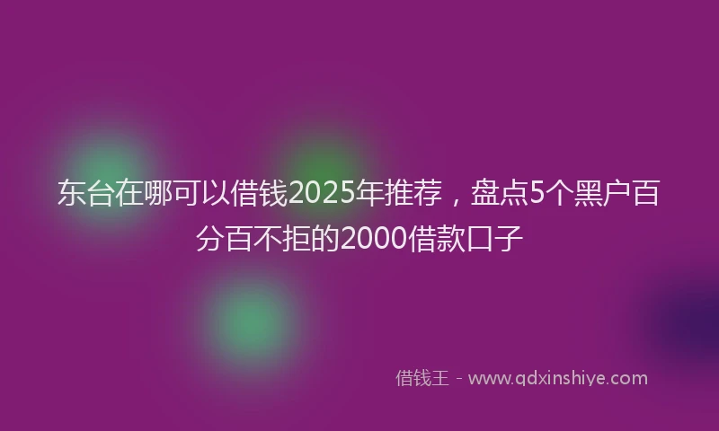 东台在哪可以借钱2025年推荐，盘点5个黑户百分百不拒的2000借款口子
