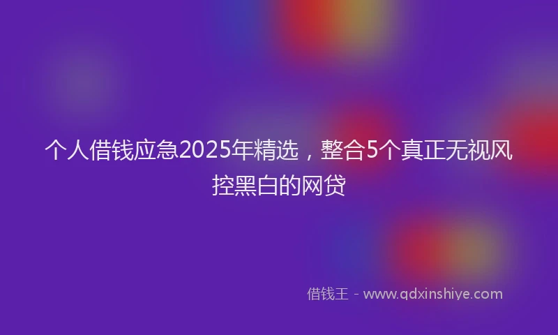 个人借钱应急2025年精选，整合5个真正无视风控黑白的网贷