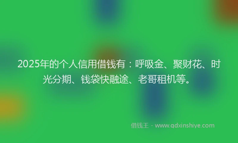 2025年的个人信用借钱有：呼吸金、聚财花、时光分期、钱袋快融途、老哥租机等。