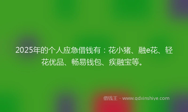 2025年的个人应急借钱有：花小猪、融e花、轻花优品、畅易钱包、疾融宝等。