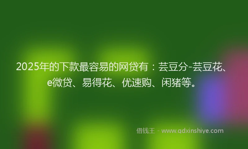 2025年的下款最容易的网贷有：芸豆分-芸豆花、e微贷、易得花、优速购、闲猪等。