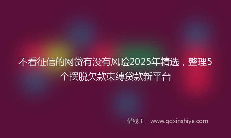 不看征信的网贷有没有风险2025年精选，整理5个摆脱欠款束缚贷款新平台