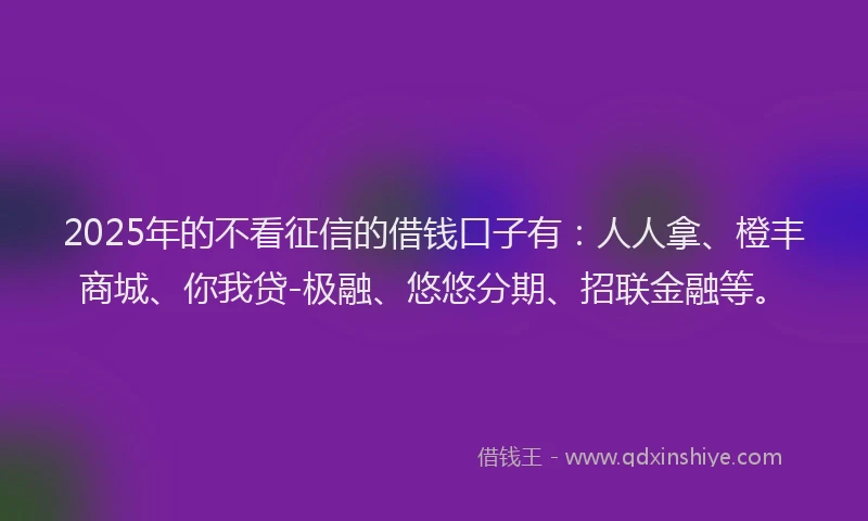 2025年的不看征信的借钱口子有：人人拿、橙丰商城、你我贷-极融、悠悠分期、招联金融等。