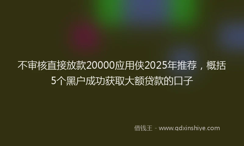 不审核直接放款20000应用侠2025年推荐，概括5个黑户成功获取大额贷款的口子