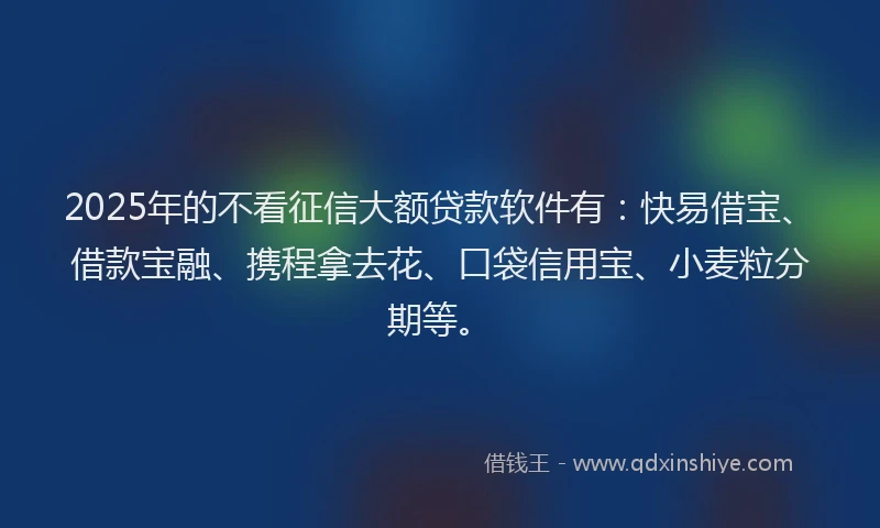 2025年的不看征信大额贷款软件有：快易借宝、借款宝融、携程拿去花、口袋信用宝、小麦粒分期等。