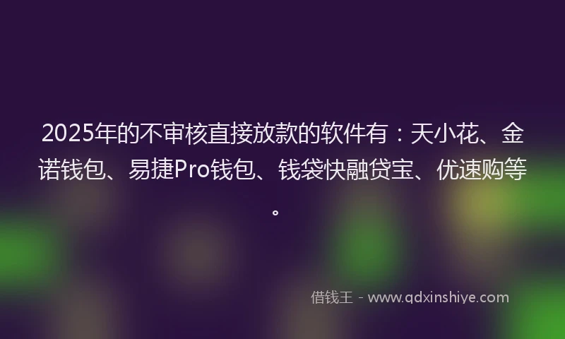 2025年的不审核直接放款的软件有:天小花、金诺钱包、易捷Pro钱包、钱袋快融贷宝、优速购等。