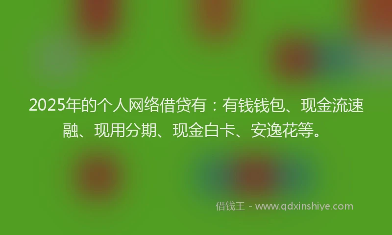 2025年的个人网络借贷有：有钱钱包、现金流速融、现用分期、现金白卡、安逸花等。
